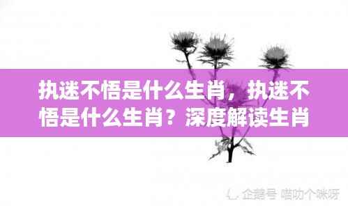 执迷不悟的生肖性格深度解读,生肖与性格特质关联探究