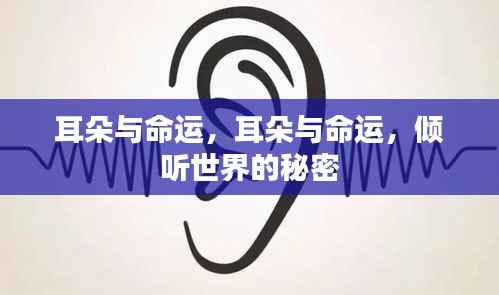 耳朵与命运,倾听世界,洞悉命运之谜