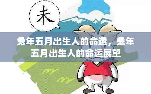 兔年五月出生人的命运展望与特质分析