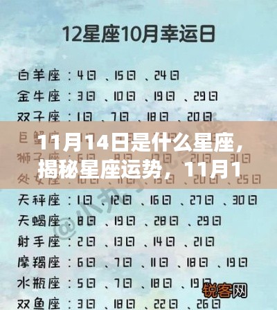 揭秘星座运势,11月14日星座运势详解及你的星座运势如何?
