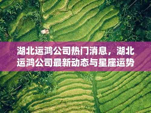 湖北运鸿公司最新动态及星座运势展望揭秘