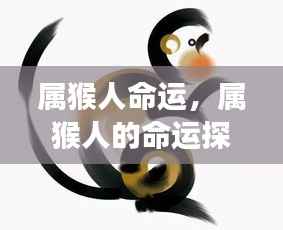 属猴人的命运探索，星象指引下的无限可能与机遇