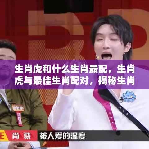 揭秘生肖奥秘,生肖虎的最佳配对生肖,和谐共鸣的奥秘探索