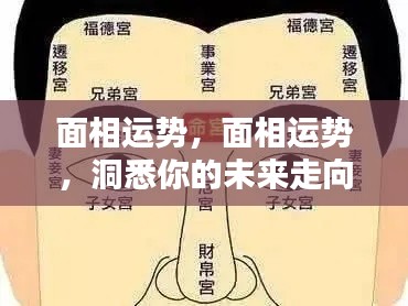 面相运势揭秘,洞悉未来走向,掌握命运之舵