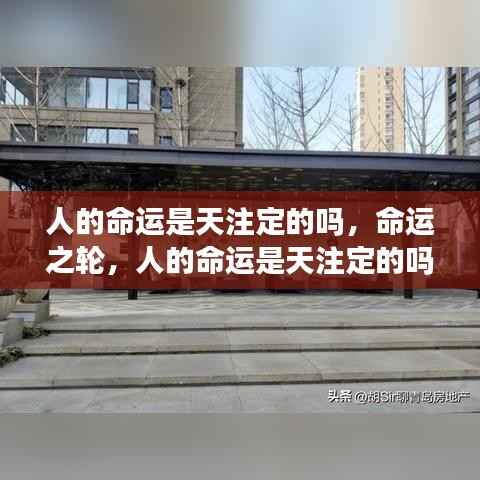 人的命运是否天注定，命运之轮的转动之谜