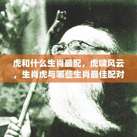 生肖虎的最佳配对生肖,虎啸风云中的情感匹配秘笈!