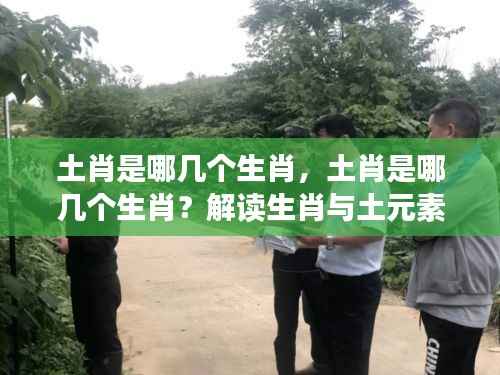 土肖包含哪些生肖?揭秘生肖与土元素的神秘联系