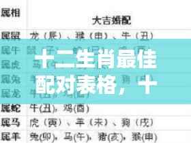 十二生肖最佳配对表格揭秘,深度解析生肖情缘