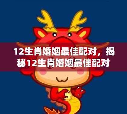 揭秘十二生肖最佳婚姻配对，幸福携手一生缘分天定