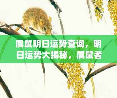 明日运势揭秘,属鼠者的吉祥展望