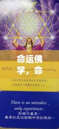 命运佛学与星座运势的心灵指引探寻