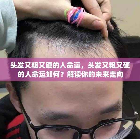 头发粗硬者的命运走向解读,探寻未来之路的奥秘与可能
