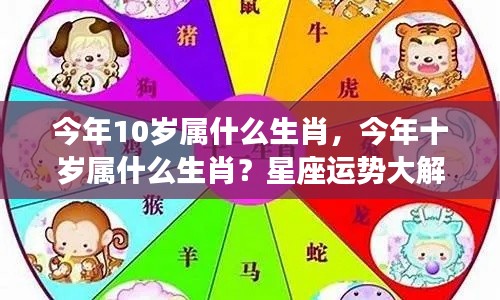今年十岁属什么生肖?星座运势深度解析!