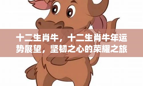 十二生肖牛年运势展望,坚韧之心的荣耀征途