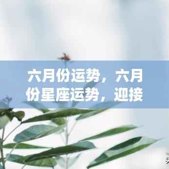 六月份星座运势展望，夏日幸运与机遇大揭秘