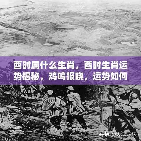 酉时生肖运势揭秘,鸡鸣报晓,运势波动解析