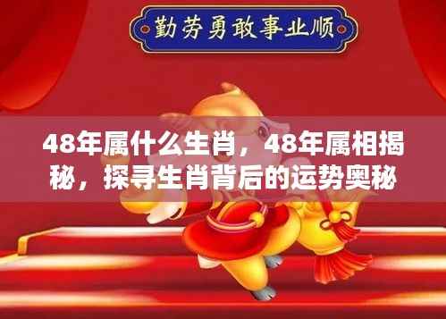 揭秘生肖奥秘,探寻48年属相运势与生肖揭秘
