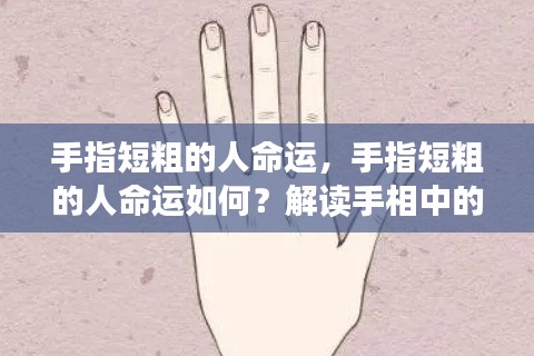 手指短粗的人命运揭秘,手相中的命运密码解读