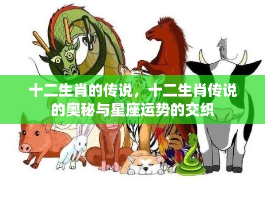 揭秘十二生肖传说之谜,星座运势交织的奥秘探索