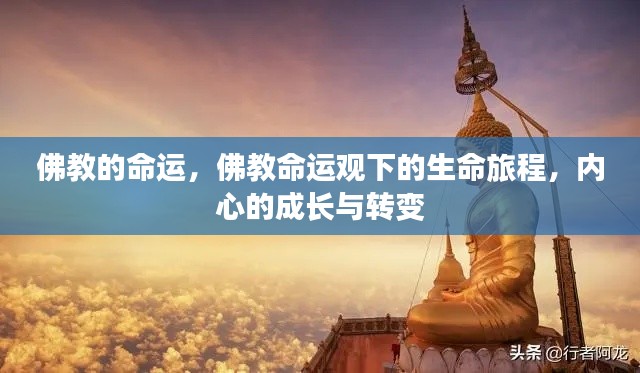 佛教命运观下的生命旅程,内心成长与转变的探索