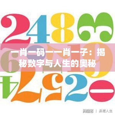 一肖一码一一肖一子:揭秘数字与人生的奥秘
