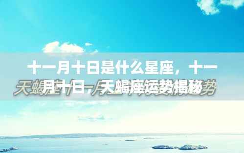 十一月十日天蝎座运势揭秘，星座特征与运势分析