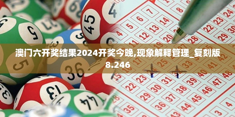 澳门六开奖结果2024开奖今晚,现象解释管理_复刻版8.246