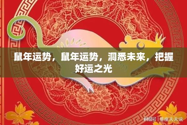 鼠年运势揭秘,洞悉未来,把握好运之光