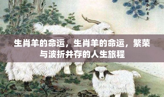 生肖羊的命运,繁荣与波折并存的人生旅程探索