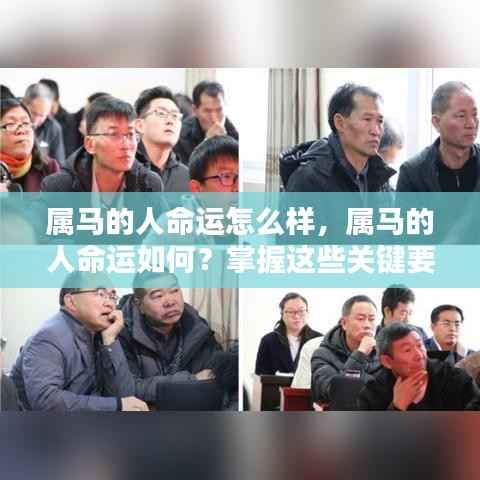 掌握关键要素,属马人的未来命运可期!