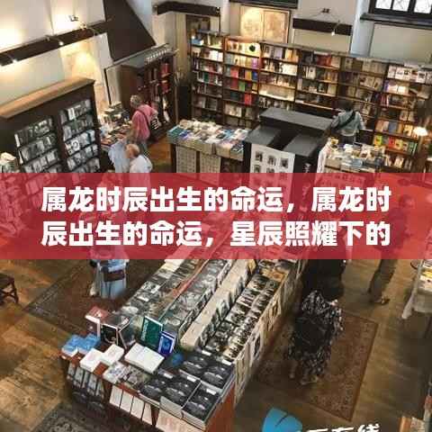 属龙时辰出生的命运，星辰照耀下的独特人生轨迹探索