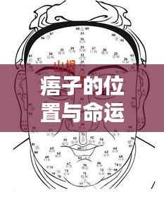 揭秘痦子的位置与命运关联，星相与面相的奥秘图解
