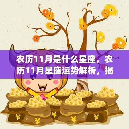 农历11月星座运势解析,天蝎座与射手座的神秘面纱揭晓