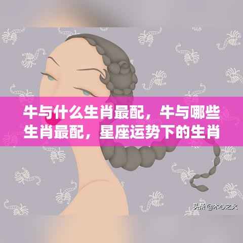 星座运势下的生肖和谐度解析,牛与哪些生肖最配?