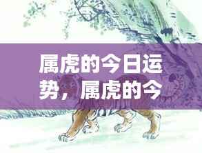 属虎今日运势详解
