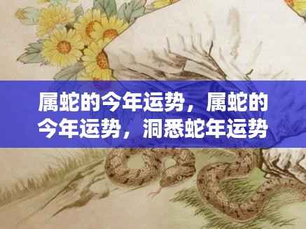 属蛇今年运势揭秘,洞悉蛇年走向,把握未来机遇