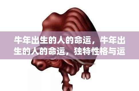 牛年出生者的命运解析,独特性格与未来运势展望