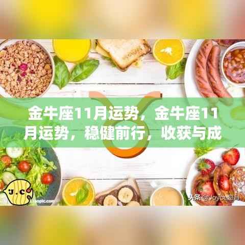 金牛座11月运势展望,稳健前行,收获与成长双丰收