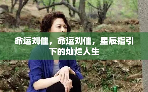 命运刘佳,星辰照耀下的灿烂人生之旅