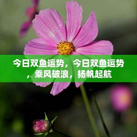今日双鱼座运势,乘风破浪,扬帆起航的幸运日