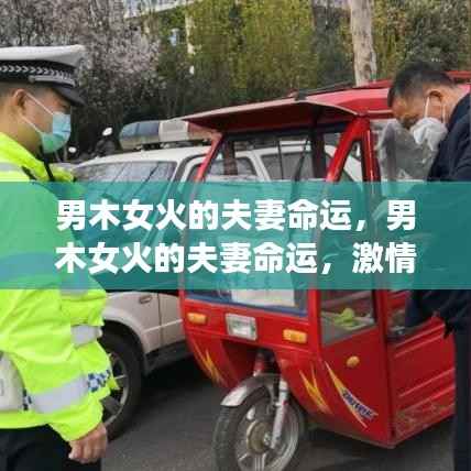 男木女火的夫妻命运,激情与稳定的和谐之旅探索