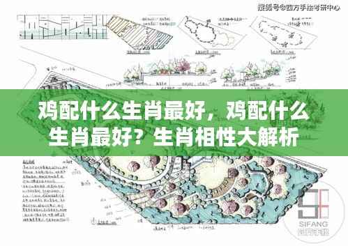 鸡配什么生肖最佳?生肖相性深度解析!