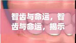 智齿与命运,星座运势中的隐秘联系揭秘