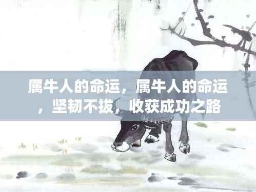 熊经鸟伸 第5页