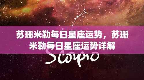 苏珊米勒每日星座运势详解概览