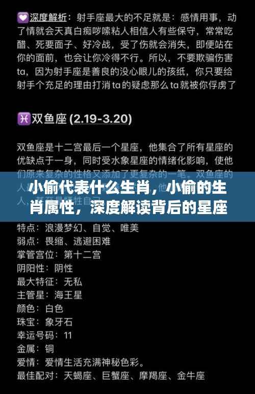 小偷的生肖属性与星座运势深度解读