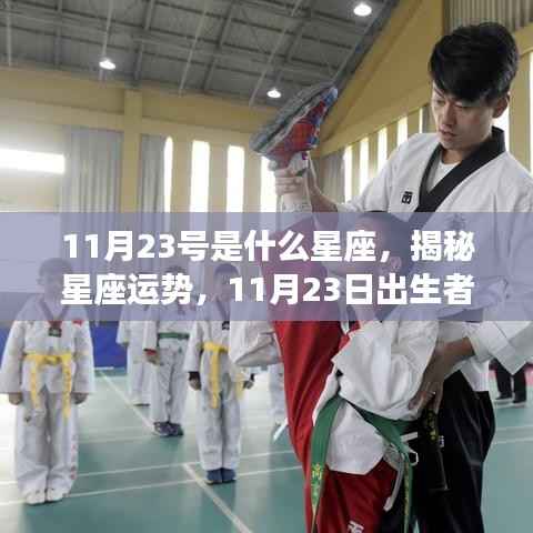 揭秘星座运势,揭秘11月23日出生者的星座奥秘与运势分析