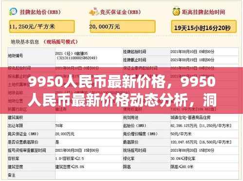 洞悉9950人民币最新价格动态，货币走势与投资策略解析