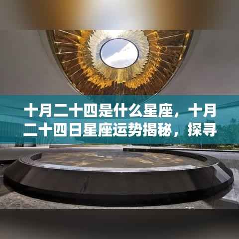 十月二十四日星座运势揭秘,探寻属于你的星辰轨迹