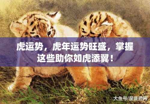 虎年运势旺盛秘籍，掌握这些助你如虎添翼，运势亨通！